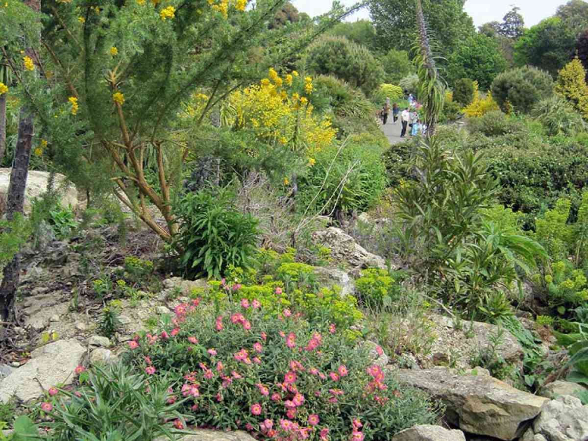 Ventnor Botanic Garden visitor image